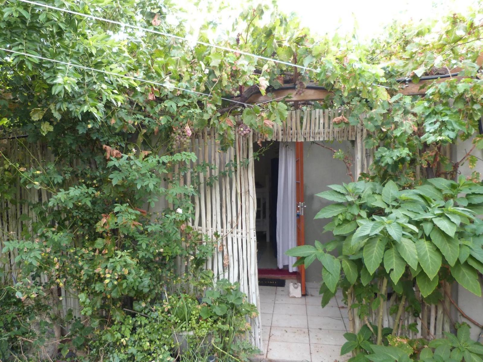 Hannah'S Haven Studio Deluxe - No Loadshedding Daire Beaufort West Dış mekan fotoğraf